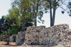 muretti-a-secco-provincia-di-lecce-6