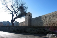 muretti-a-secco-puglia-4