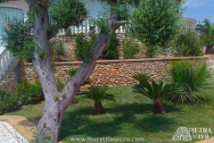 realizzazione-progetto-giardino