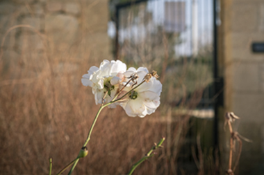 Arredo Giardino, Ville e Parchi